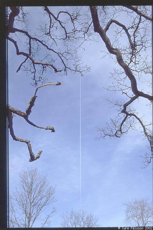 Airliner, sky and oaks, Tinnerö