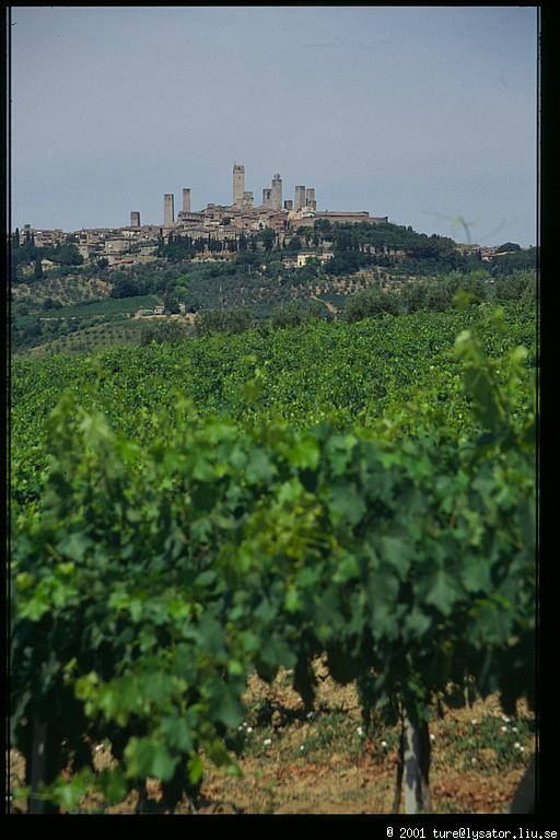 San Gimignano in the distance