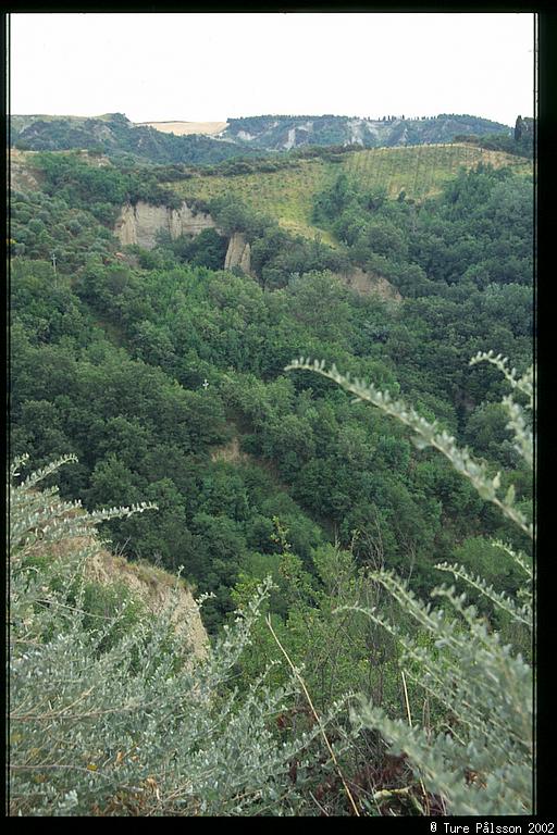 Crete Senese, near Monte Oliveto