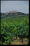 San Gimignano in the distance