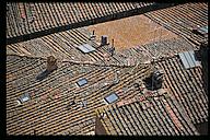 Rooftops of San Gimignano