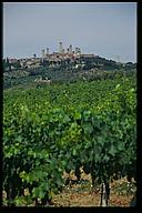 San Gimignano in the distance