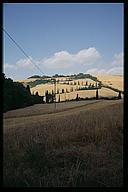 Cypress zig-zag, Val d'Orcia