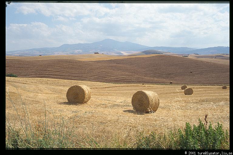 Straw rolls, Val d'Orcia