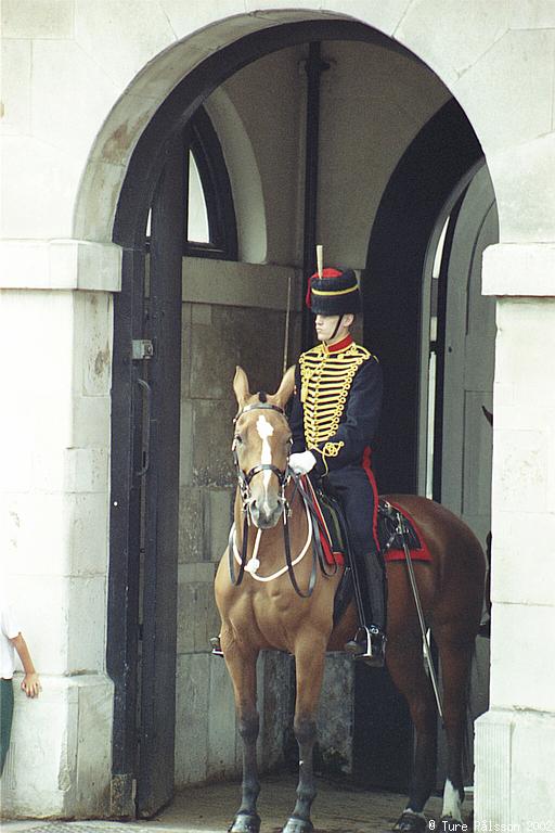 Mounted guard, ???