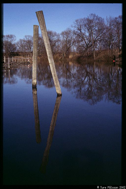 Reflections in water