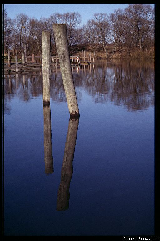 Reflections in water