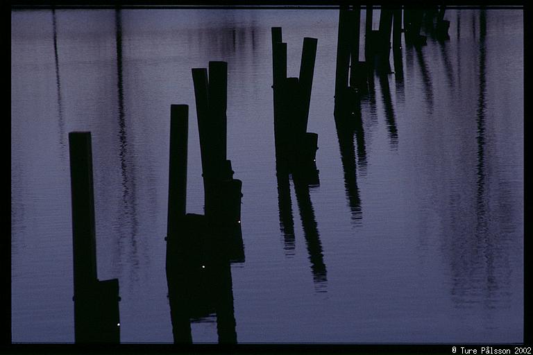 Wooden poles, reflected in the water