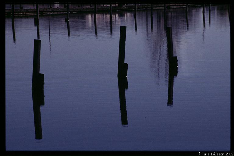 Wooden poles, reflected in the water