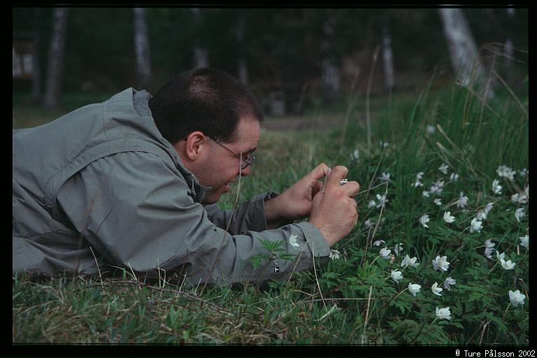 Henrik shooting flowers, Hallsta Ängar