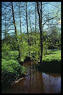 The stream, Stjärnorp