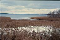 Lake Roxen shore at Stångån