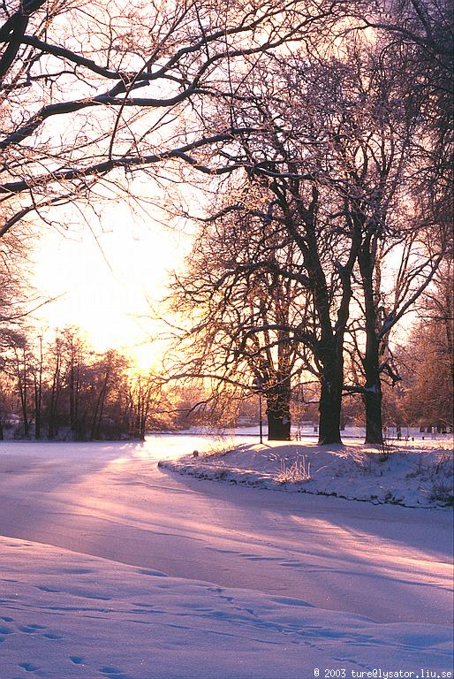 Winter afternoon, Stångån, Linköping