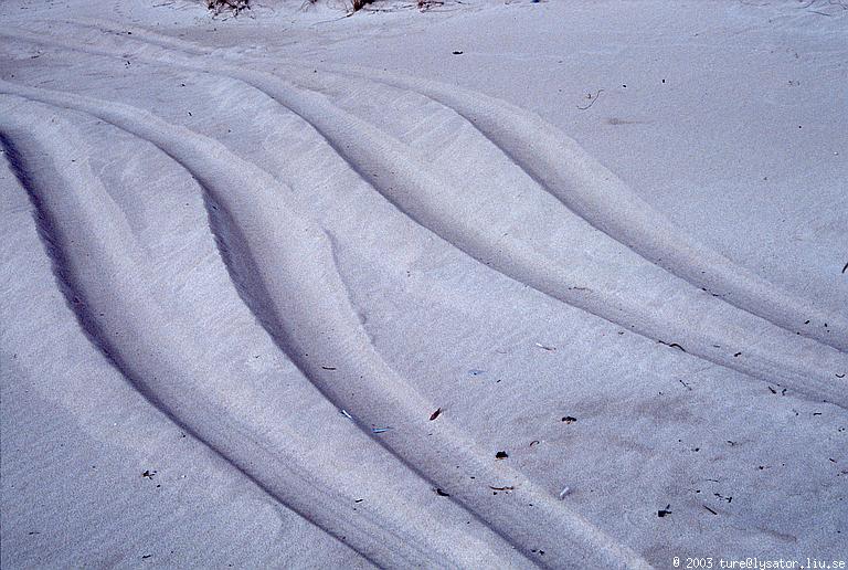 Car tracks in the sand