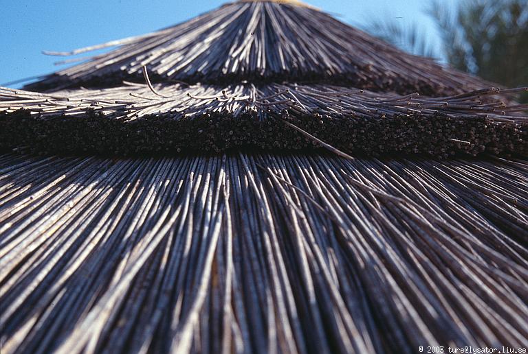 Straw parasol