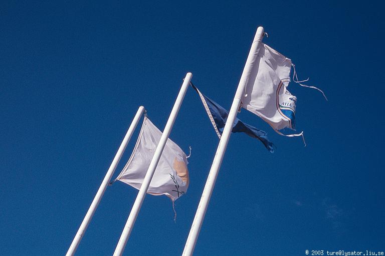 Wind-torn flags