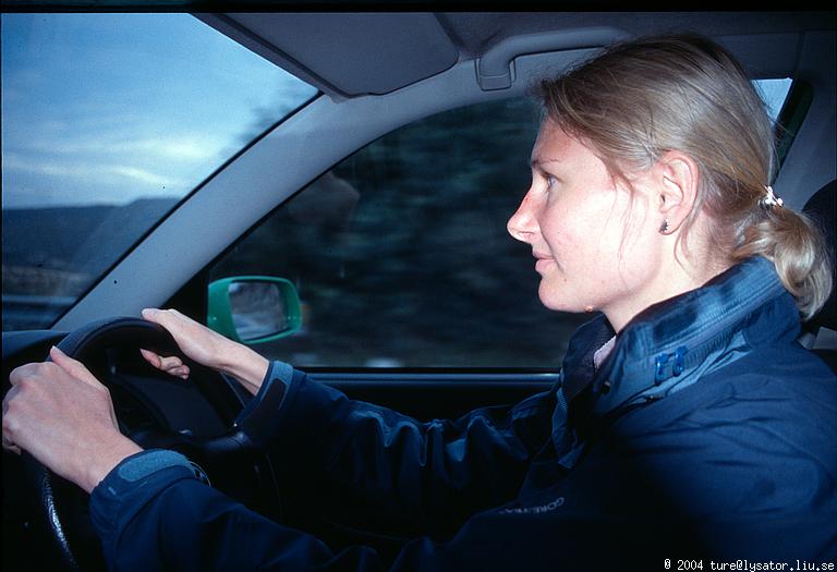 Elin, driving