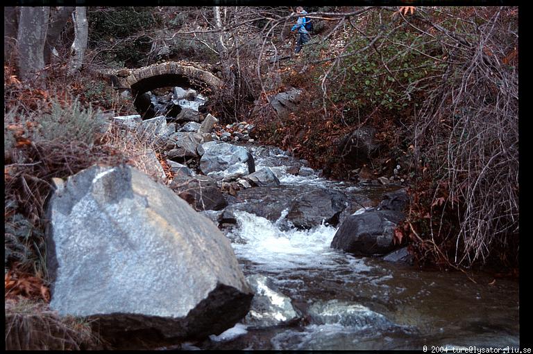 Stream and bridge, Troodos